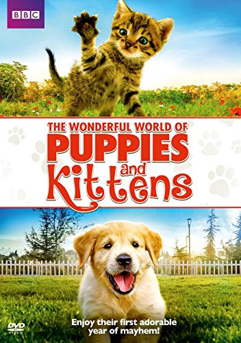 Wonderful World of Puppies and Kittens -DVD-