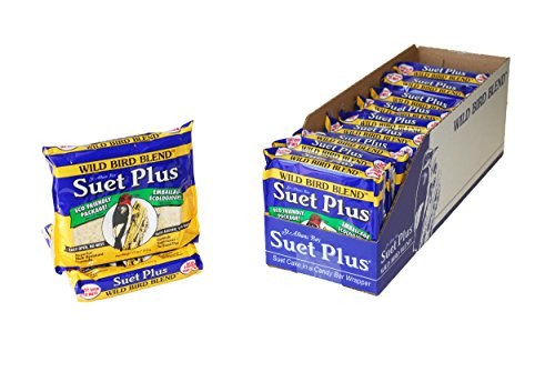 Suet Plus Suet Cakes 12 Pack of 11 oz Bird Suet Cakes -Wild Bird Blend-