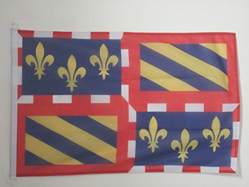 AZ FLAG Burgundy Nautical Flag 18 x 12 - French Region of Bourgogne Flags 30 x 45 cm - Banner 12x18 in for Boat AZ FLAG Burgundy Nautical Flag 18 x 12 - French Region of Bourgogne Flags 30 x 45 cm - Banner 12x18 in for Boat