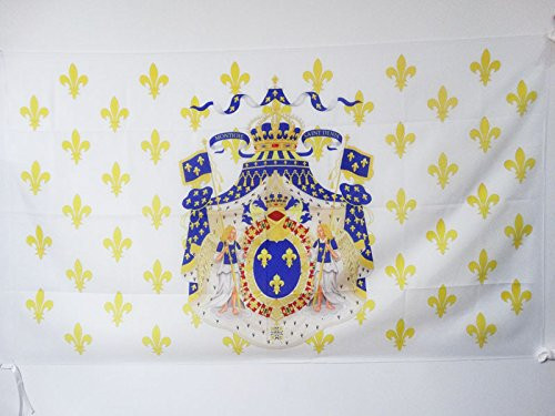 AZ FLAG Kingdom of France Coat of arms Flag 3 x 5 for a Pole - French Royal Flags 90 x 150 cm - Banner 3x5 ft with Hole