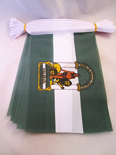 AZ FLAG Andalusia 6 Meters Bunting Flag 20 Flags 9 x 6 - Spanish Region of Andalucía String Flags 15 x 21 cm