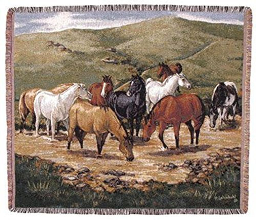 Simply Home Cripple Creek Remunda Tapestry Throw