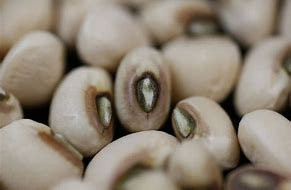 Pea Blackeye Great Heirloom Vegetable by Seed Kingdom Bulk 800 Seeds