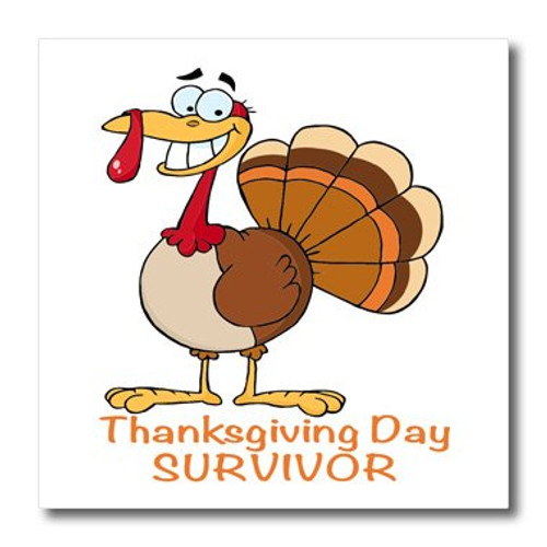 3dRose ht_118709_2 Funny Thanksgiving Day Survivor Turkey Iron on Heat Transfer, 6 by 6", for White Material 3dRose ht_118709_2 Funny Thanksgiving Day Survivor Turkey Iron on Heat Transfer, 6 by 6", for White Material