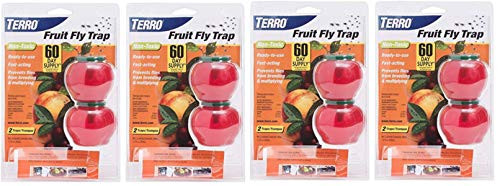 TERRO Fruit Fly Trap -8-pack-