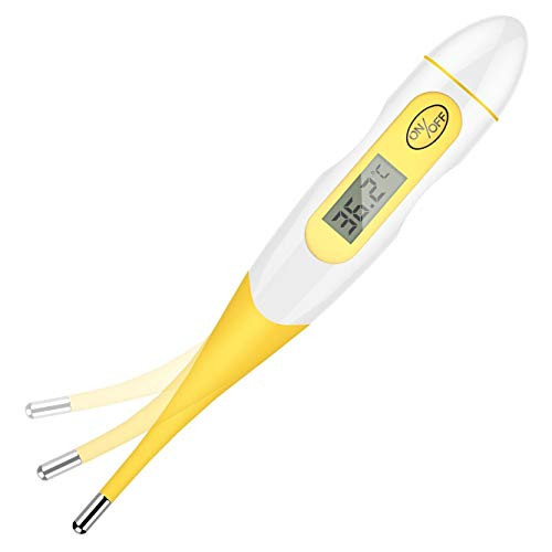 Thermometer for Adults  WISHDREAM Oral Thermometer for Fever Digital LCD Thermometer  Accurate Fast Reading Oral Armpit Rectal Temperature  Medical Th