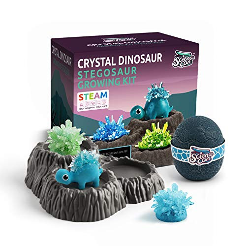 Science Can Crystal Growing Science Experimental Kit for Kids - 4 Vibrant Colored Crystal to Grow - Easy DIY Stem Toys Lab - Educational Gift for 10 Y