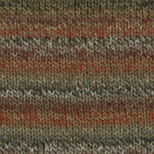 Plymouth (5-Pack) Encore Dynamo Yarn Persian Empire 0042-5P