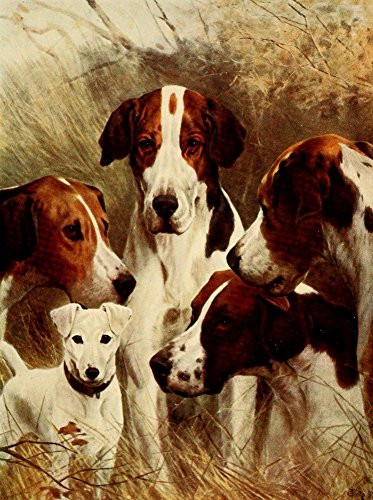 English Sport 1903 The pick of the pack Poster Print by Unknown (18 x 24)