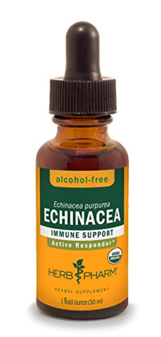 Herb Pharm Certified Organic Echinacea Root Liquid Extract for Immune System Support  Alcohol-Free Glycerite  1 Ounce