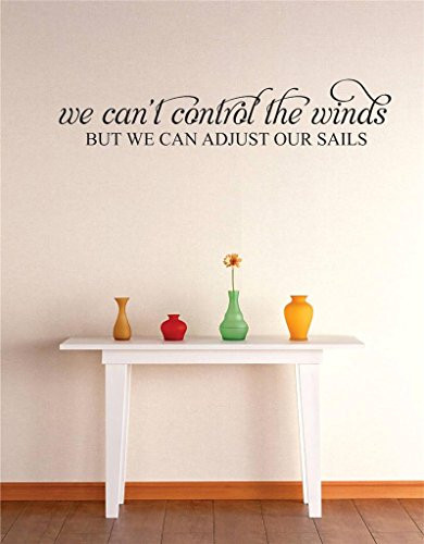 Design with Vinyl RE 3 C 2252 We Cant Control The Winds But We Can Control Our Sails Image Quote Vinyl Wall Decal Sticker  20 x 40  Black