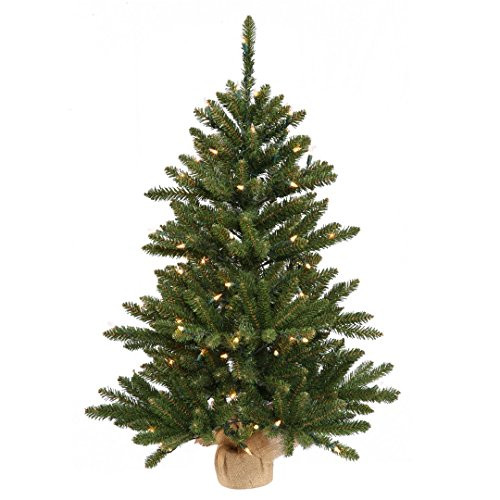 Vickerman Anoka Pine Artificial Christmas Tree with 92 PVC tips & 35 Dura-Lit Italian LED Mini Lights in a Burlap base, 24", Warm White
