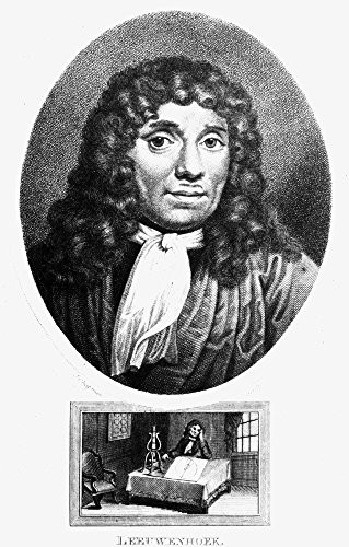 Posterazzi Anton Van Leeuwenhoek-N-1632-1723-- Dutch Naturalist- Stipple Engraving English C1800- Poster Print by  -18 x 24-