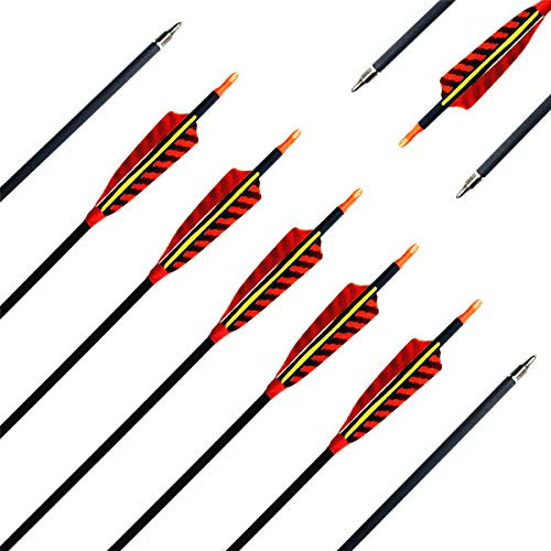 Letszhu Hunting Archery Carbon Arrow  Target Practice Arrow 500 Spine Fletched 4 inch Real Feathers with Field Points for Compound Recurve Longbow -Pa