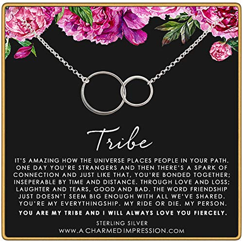 Best Friend Gifts ï Tribe Friendship Necklace ï Sterling Silver Jewelry ï Two Connected Circles ï Friends Forever ï Soul Sister Gift Necklace ï Pizza
