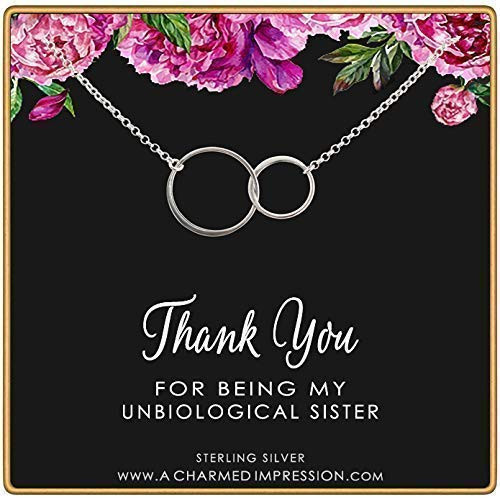 Unbiological Sister Gifts ï Sisters Jewelry ï Gifts for Best Friend ï Christmas Gifts for Women ï Sterling Silver Necklaces for 2 3 4 ï Friendship Nec