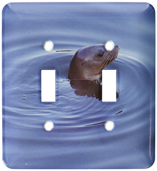 3dRose lsp-41713-2 Baby Seal In Sea Double Toggle Switch