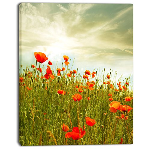 Design Art Red Poppy Flowers in Green Field Floral on Canvas Art Wall Photgraphy Artwork Print Design Art Red Poppy Flowers in Green Field Floral on Canvas Art Wall Photgraphy Artwork Print