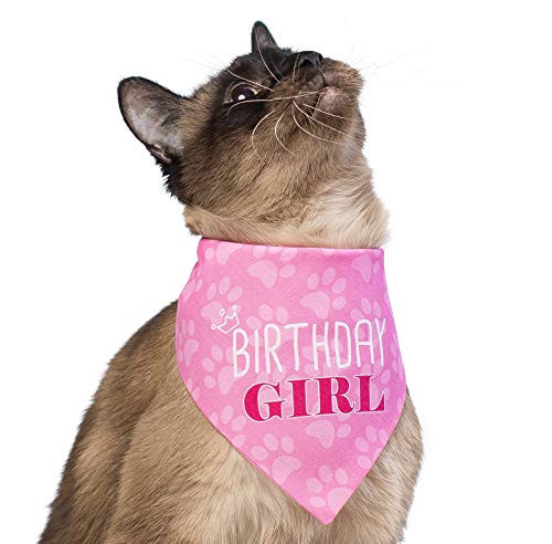Pooch Perfect Dog Birthday Bandana Princess Pink Girl Design in 3 Sizes - Small  Medium and Large - Perfect for Your Pets Special Day -Small-