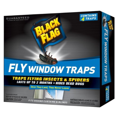 Black Flag Fly Window Trap -4 count-