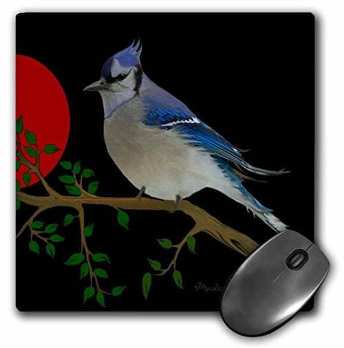 3dRose Bluejay - Mouse Pad  8 by 8 inches -mp-9052-1-