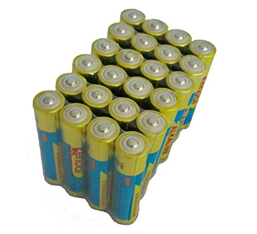KENDAL E92 AM4 MN2400 LR03 AAA 1-5V Alkaline Battery 24 Count