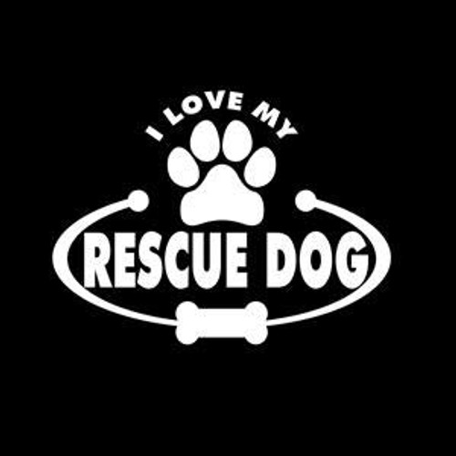Rescue Dog Love Pets Makarios LLC -Cars Trucks Vans Walls Laptop MKR- White -5-5 x 4-MKR843 Rescue Dog Love Pets Makarios LLC -Cars Trucks Vans Walls Laptop MKR- White -5-5 x 4-MKR843