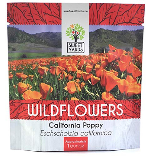 California Orange Poppy Wildflower Seeds - Bulk 1 Ounce Packet - Over 20 000 Native Seeds - California State Flower