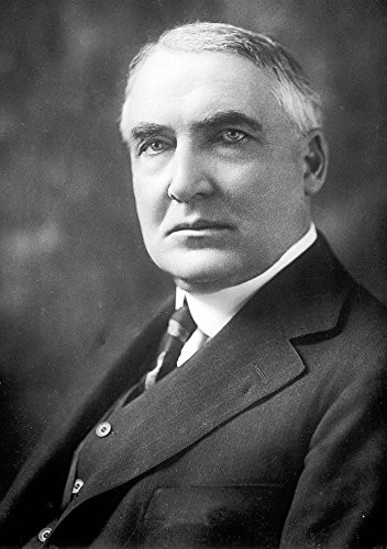 Posterazzi Candidate Warren G- Harding 1920 Poster Print by Science Source  -18 x 24-  Varies