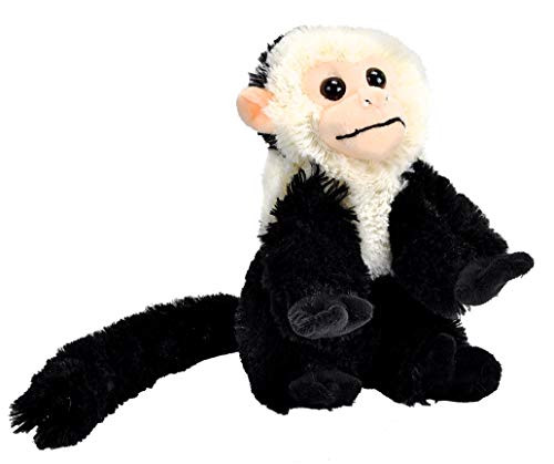 Wild Republic Capuchin Plush Stuffed Animal Plush Toy Gifts for Kids Cuddlekins 8 Inches Wild Republic Capuchin Plush Stuffed Animal Plush Toy Gifts for Kids Cuddlekins 8 Inches