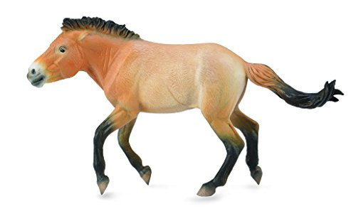 CollectA Przewalski Stallion CollectA Przewalski Stallion