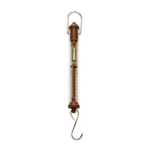 American 3B Scientific U40812 Spring Balance  1000 g-10 N