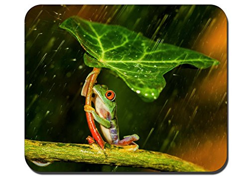 RUBIN Mouse Pad Anti-Slip Personalized Rectangle Gaming MousePads Size9-4 x7-9 RB311 Tree Frog