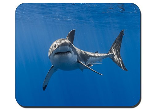 RUBIN Personalized Rectangle Gaming Mouse Pads Size9-4 x7-9 -003- The Shark