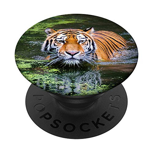 Colorful Bengal Tiger Phone Accessory for Boys and Girls PopSockets Grip and Stand for Phones and Tablets