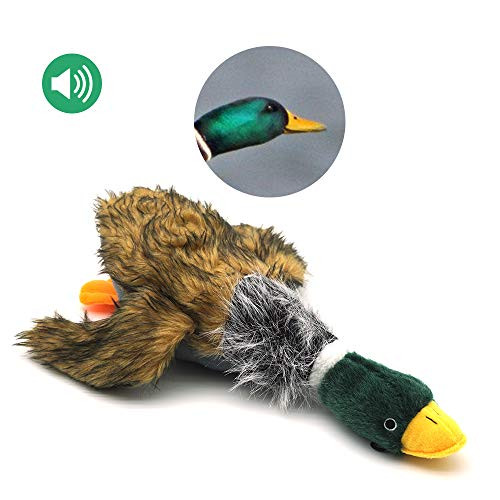 ZHONGYU Plush Mallard Duck Dog Toy  Squeaky Dog Toy  Plush Dog Chew Toy Durable Fabric - Tough and Reliable for Small Medium Dogs-