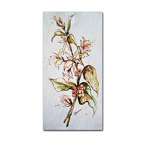 Trademark Fine Art Coffee Flowers by Wendra, 12x24-Inch Canvas Wall Art Trademark Fine Art Coffee Flowers by Wendra, 12x24-Inch Canvas Wall Art
