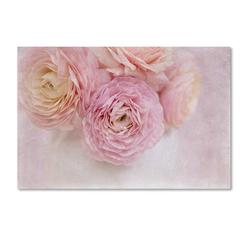 Trademark Fine Art Chique Bouquet by Cora Niele, 16x24-Inch Canvas Wall Art Trademark Fine Art Chique Bouquet by Cora Niele, 16x24-Inch Canvas Wall Art