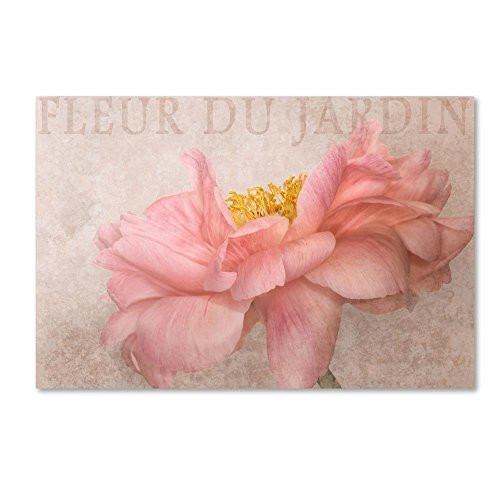 Trademark Fine Art Garden Flower by Cora Niele, 16x24-Inch Canvas Wall Art Trademark Fine Art Garden Flower by Cora Niele, 16x24-Inch Canvas Wall Art