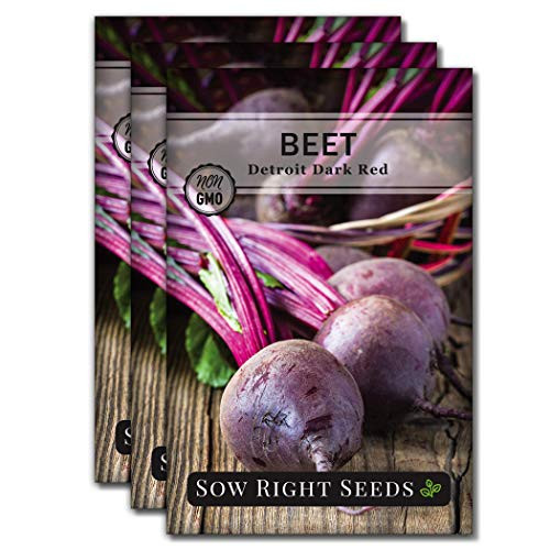 Sow Right Seeds - Detroit Dark Red Beet Seed for Planting - Non-GMO Heirloom Packet with Instructions to Plant a Home Vegetable Garden - Great Gardeni
