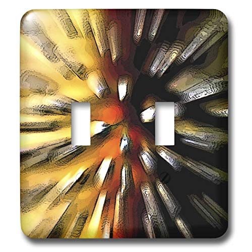 3dRose lsp-1284-2 Digital Artwork Design 9 Double Toggle Switch