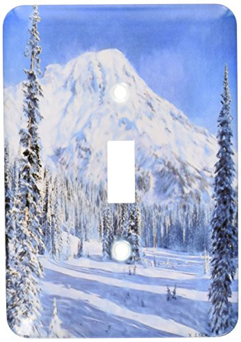 3dRose lsp-24848-1 Digital Oil Painting Snow In The Mountains Toggle Switch  Multicolor