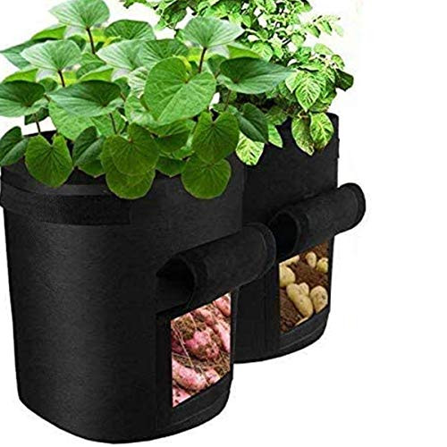 VANUODA 2 Pack Potato Grow Bags Gardening Plant Growing Bags Bed Garden Boxes Tomato Carrot Vegetable Planter Container with Window Handles Flap Botto VANUODA 2 Pack Potato Grow Bags Gardening Plant Growing Bags Bed Garden Boxes Tomato Carrot Vegetable Planter Container with Window Handles Flap Botto