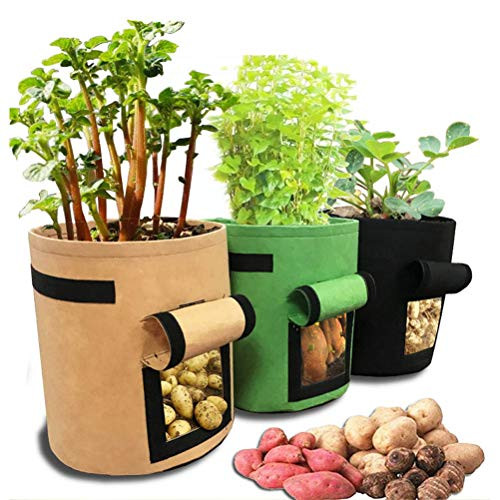 Odziezet Potato Grow Bag 7 Gallon Garden Planting Bag for Tomato Vegetable 3 Pack Growing Fabric Pots with Handle Access Flap Odziezet Potato Grow Bag 7 Gallon Garden Planting Bag for Tomato Vegetable 3 Pack Growing Fabric Pots with Handle Access Flap