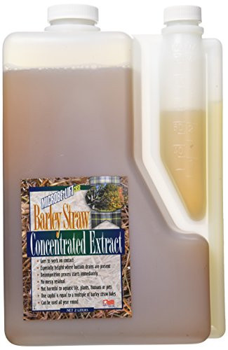 Ecological Labs 971002   AEL20071 Microbe Lift Barley Straw Extract Pond Conditioners for Aquarium, 64-Ounce
