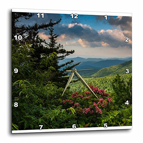 3dRose Mountain Laurel, Beacon Heights, Blue Ridge Parkway, North Carolina - Wall Clock, 10 by 10-Inch (DPP_209355_1) 3dRose Mountain Laurel, Beacon Heights, Blue Ridge Parkway, North Carolina - Wall Clock, 10 by 10-Inch (DPP_209355_1)