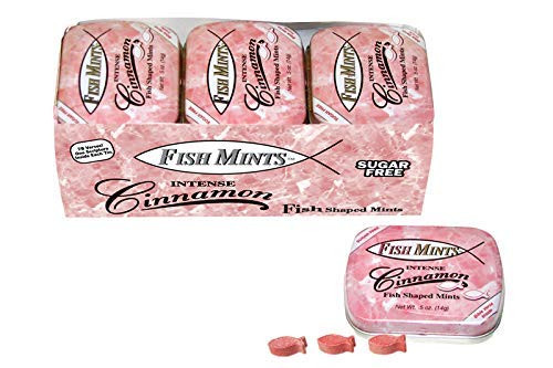 Scripture Candy  Sugar Free Cinnamon Tin - 9 count -
