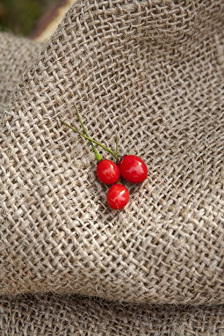 Wiri Wiri Heirloom Pepper Premium Seed Packet - More Wiri Wiri Heirloom Pepper Premium Seed Packet - More