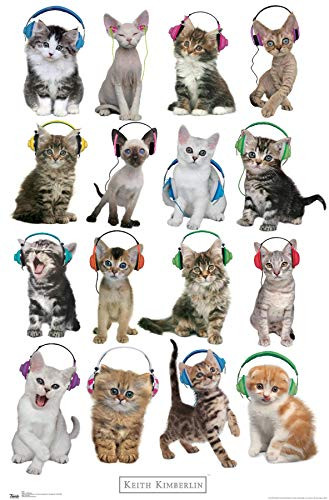 Trends International Keith Kimberlin - Kittens - Headphones Wall Poster  14-725 x 22-375  Premium Unframed Version