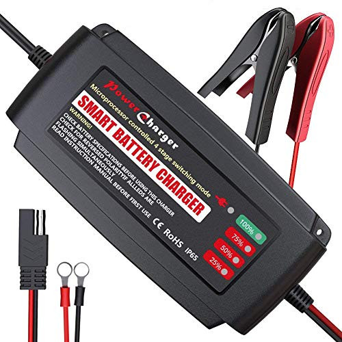 12V 5A Smart Battery Charger Portable Battery Maintainer with Detachable Alligator-Rings-Clips Fast Charging IP65 Waterproof Trickle Charger for Car B